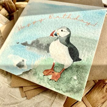 Birthday Card, Puffin, Nature, Bird 2