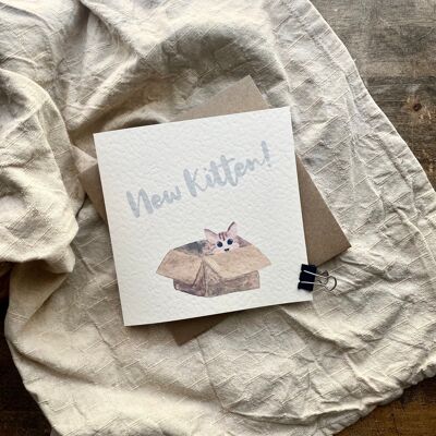 New Kitten,  New Cat Card, Congratulations, New Pet (A)