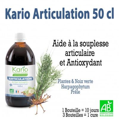 Kario Articulation 50cl