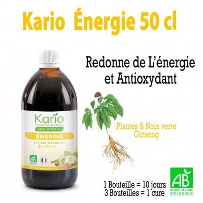 Kario Energie 50cl