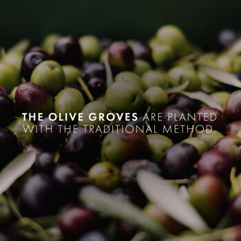 Huile d'olive extra vierge biologique - Cipriani Food - 0,5L 4