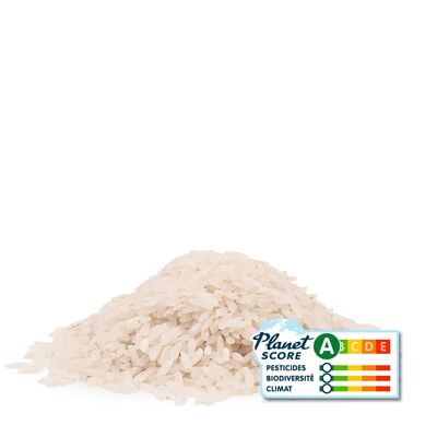 Organic Camargue white rice BULK 10 kg