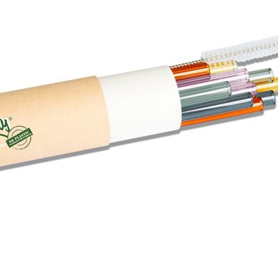 Pailles BarBaydos lot de 10 colorées en emballage tube avec pinceau verre Ø8 x 210mm droit