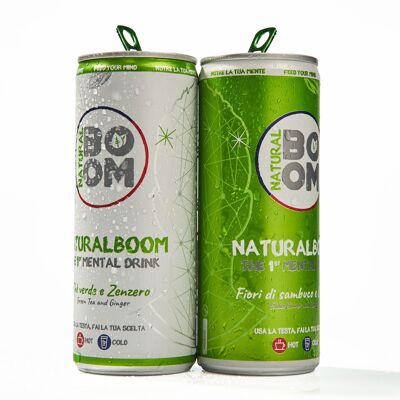 NATURALBOOM - Mix Pack Thé Verde e Zenzero e Fiori di Sambuco e Limone