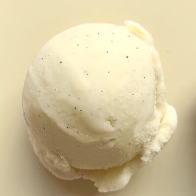 Madagascar Vanilla Ice Cream 500ml