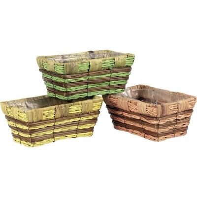 Bamboo and fern basket-CCO5550P