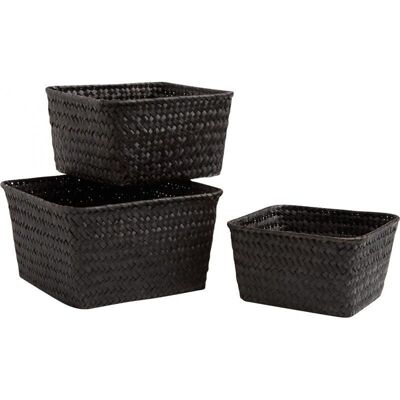 Tinted palm baskets-CCO638S