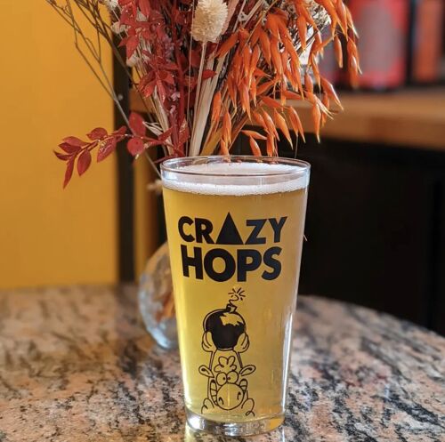 Verres à bières Crazy Hops 50cl
