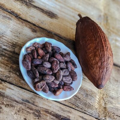 Fèves de Cacao bio Crues Criollo