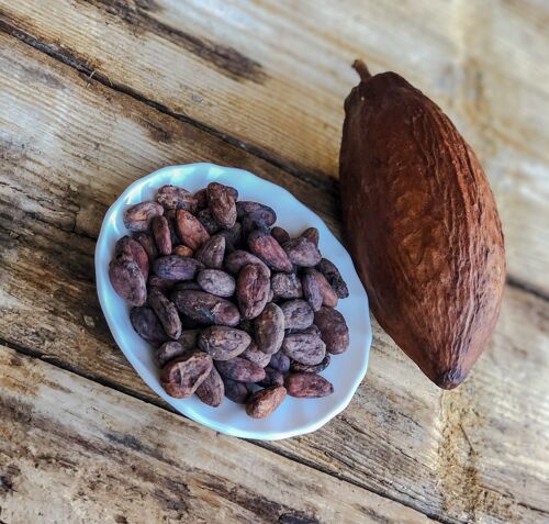 Fèves de Cacao Bio Crues Criollo Bio Vrac par Kg
