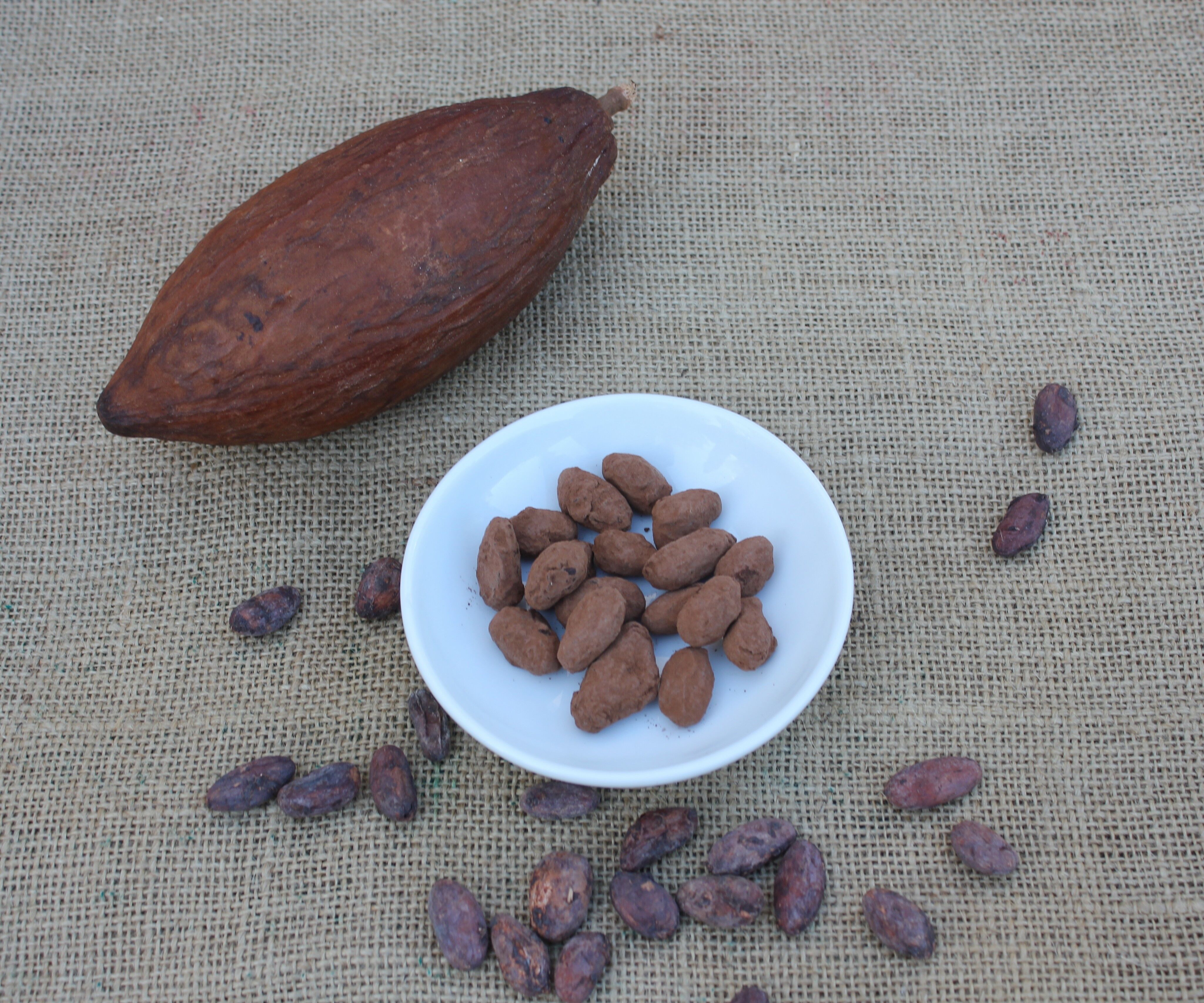 Chocofèves Biologici Sfusi al Kg