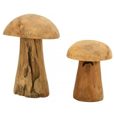 Natural Teak Mushrooms-DMA163S