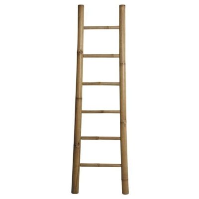 Bamboo ladder-DVI1770