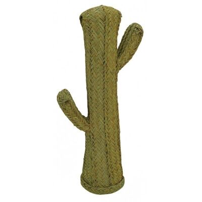 Cactus en alpha-DVI1922