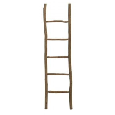 Rustic Pine Ladder-DVI2160