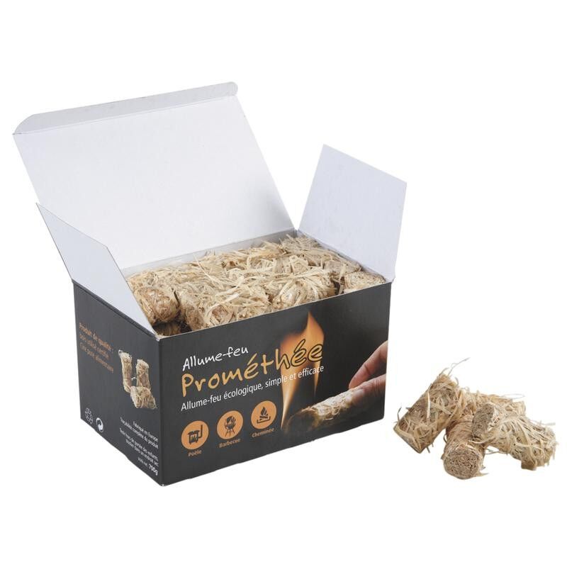 Feuerstarter-GCH1900