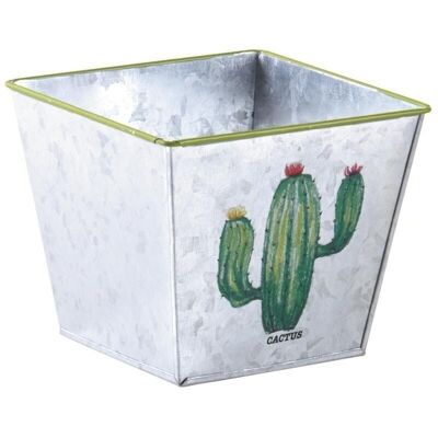 Square metal basket cactus-GCO3610