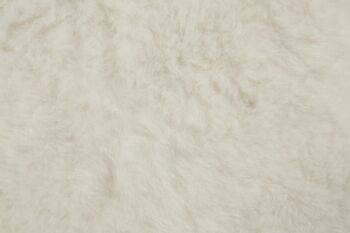 Short Islandais Peau de Mouton Blanc 90-110cm 10