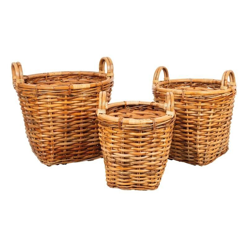 Coprivaso diviso-JCP249S