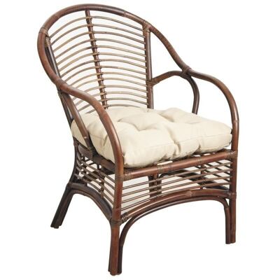 Brown rattan armchair-MFA2620C