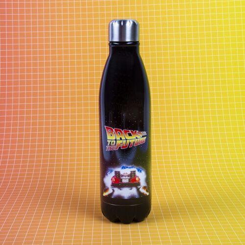 Back to the Future Water Bottle