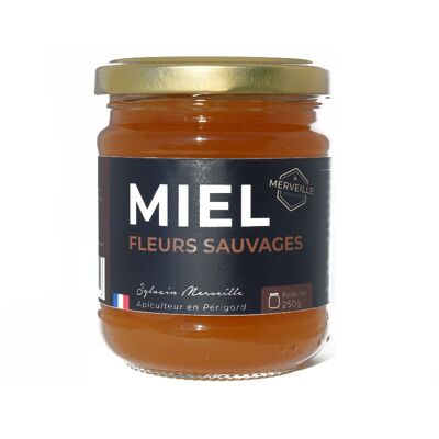 Miel "Flores Silvestres" - Périgord - 250g