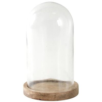 Cloche in glass and mango-TCL1400V