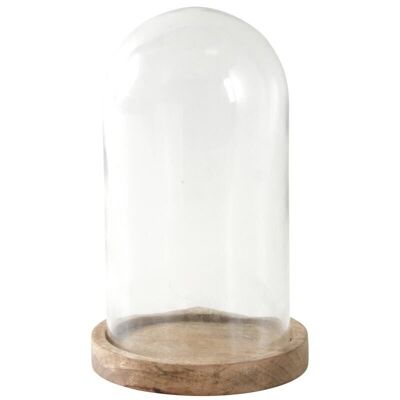 Cloche en verre et manguier-TCL1400V