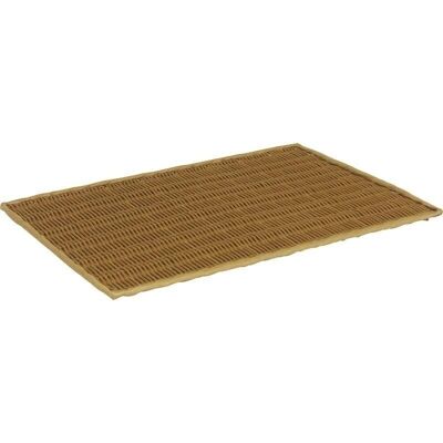 Synthetic rattan tray-TPL1901