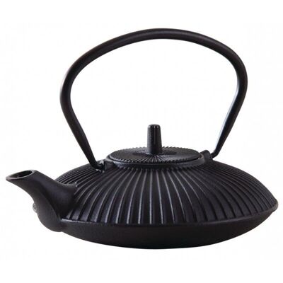 Black cast iron teapot-TTH1180