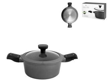 Cocotte 2 Anses Antiadhésive Easy click 20 cm Induction avec Couvercle 1