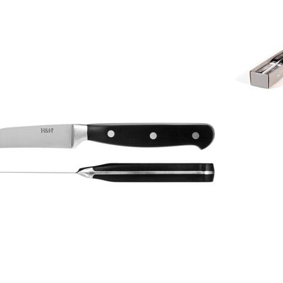 Professional vegetable knife, stainless steel blade, riveted handle.