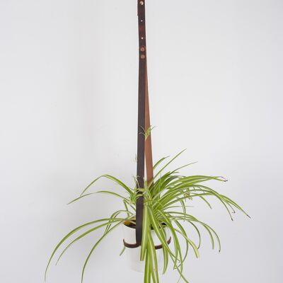 Ceiling Plant Hanger Brown