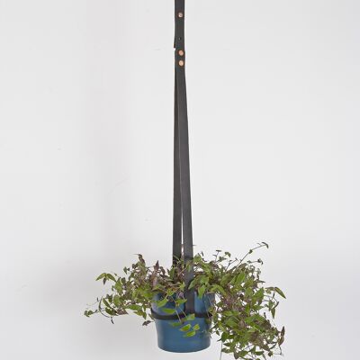 Colgador de techo para plantas Negro