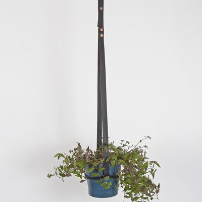 Cintre pour plantes de plafond noir