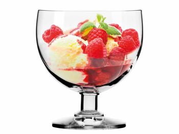 Glace / Salade de Fruits 35 cl 6