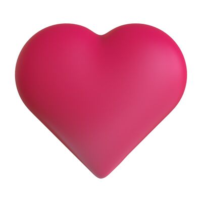Gara Spinny | Tenero magnete cuore rosa | Magnete fotografico per frigorifero