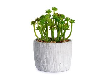 Plante artificielle en plastique assorti diamètre 11 cm; vendable en 8