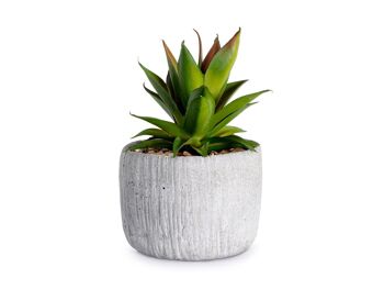 Plante artificielle en plastique assorti diamètre 11 cm; vendable en 5