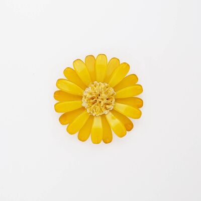 DAISY, broche