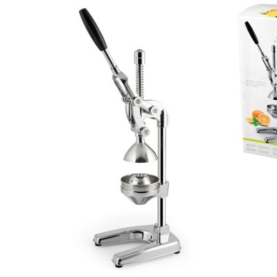 Green Line citrus juicer in 18/10 stainless steel cm 20x46 h