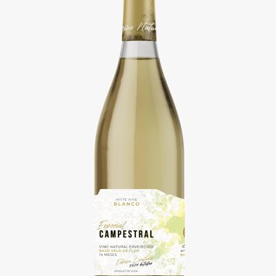 Campestral Special Vieilli Blanc Sous Voile de Flor