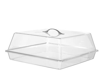 Vitrine carrée en polycarbonate transparent cm 40x40x18 h. Hauteur du socle 5,5 cm 5