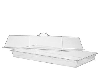 Vitrine rectangulaire en polycarbonate transparent cm 54x33x17 h. Hauteur socle 5 cm 4