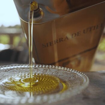 Huile d'olive extra vierge bouteille 5L, SIERRA DE UTIEL 6