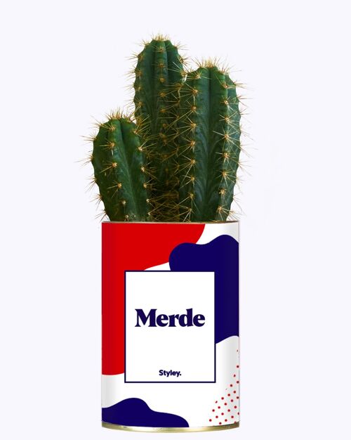 Merde - Plante Grasse & cactus en pot