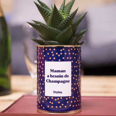 Mama needs Champagne - Succulent Plant and Cactus