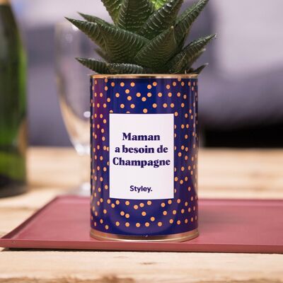 Mama needs Champagne - Succulent Plant and Cactus