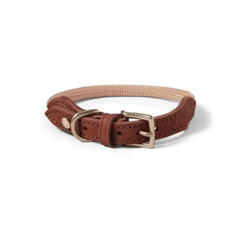 Collier pour Chien Torekov Sable Doré