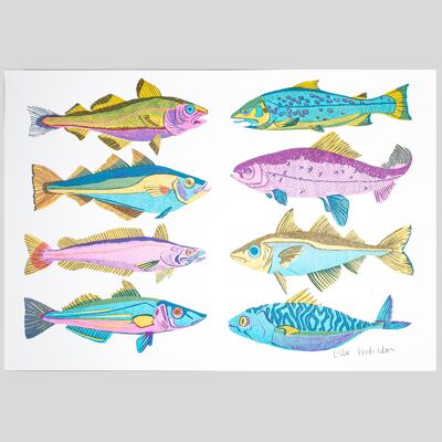 British Fish  A3 Risograph Print